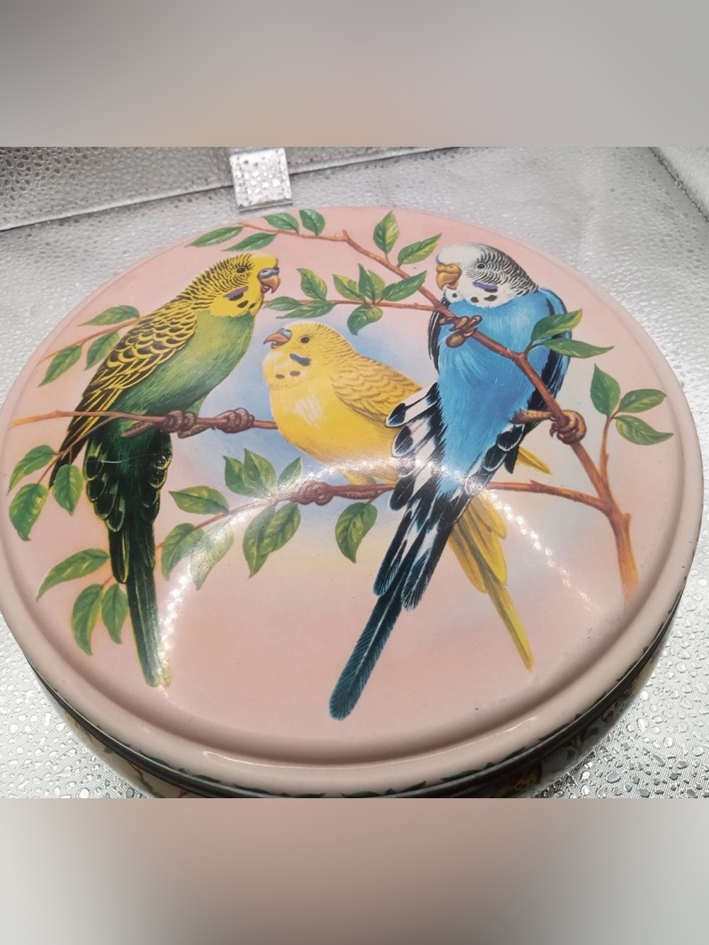 Pink Budgie Peek Frean Biscuit Budgerigar Parakeets Birds 1950s Mcm Tin rare